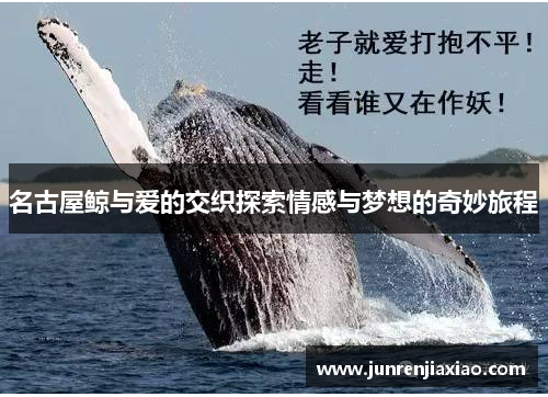 名古屋鲸与爱的交织探索情感与梦想的奇妙旅程